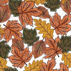 Meet your Posher, Allena